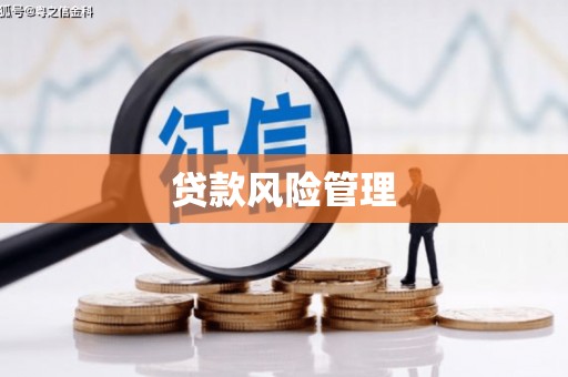 湖内贷款风险管理
