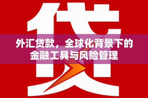 湖内外汇贷款，全球化背景下的金融工具与风险管理