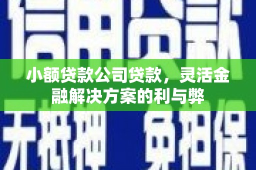 湖内小额贷款公司贷款，灵活金融解决方案的利与弊