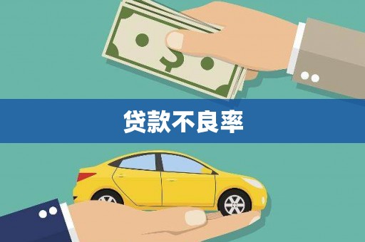 湖内贷款不良率
