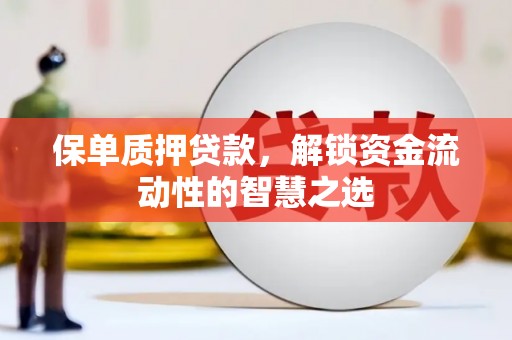 湖内保单质押贷款，解锁资金流动性的智慧之选