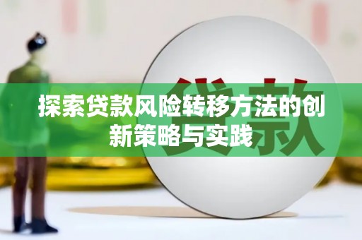 湖内探索贷款风险转移方法的创新策略与实践