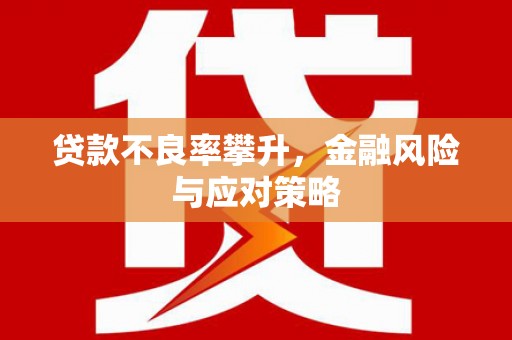 湖内贷款不良率攀升，金融风险与应对策略