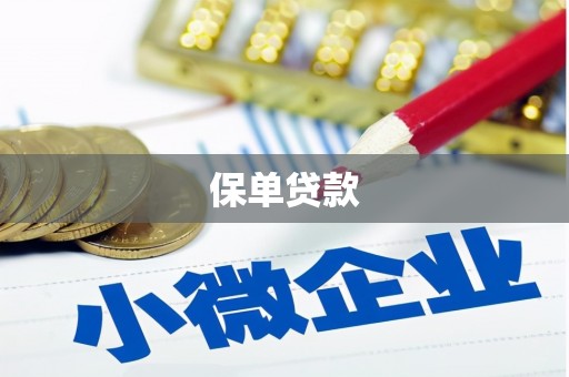 湖内保单贷款